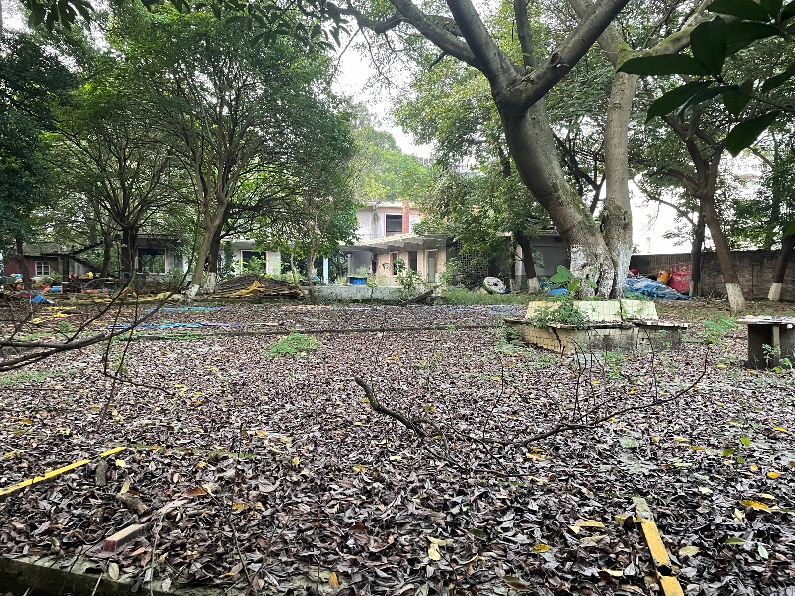 自贡童年游乐场如今的样子——树、落叶、断掉的栏杆和一片过分安静的空地